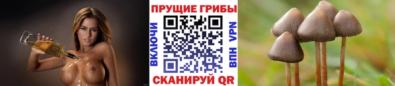 Галлюциногенные грибы мухоморы  Каменск-Уральский 
