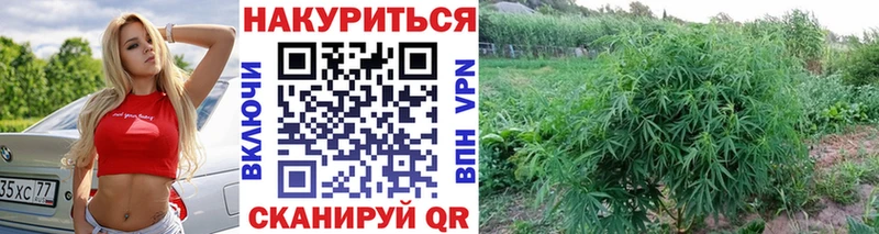 KRAKEN ссылка Каменск-Уральский Канабис Bruce Banner